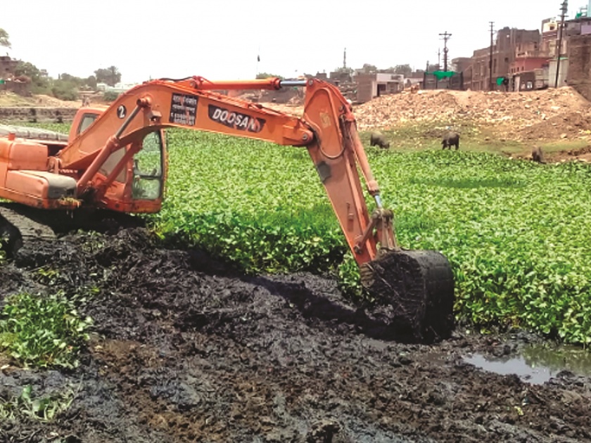 'Jalparni' removed from Nalganga river bed | नळगंगा नदीपात्रातील जलपर्णी काढली
