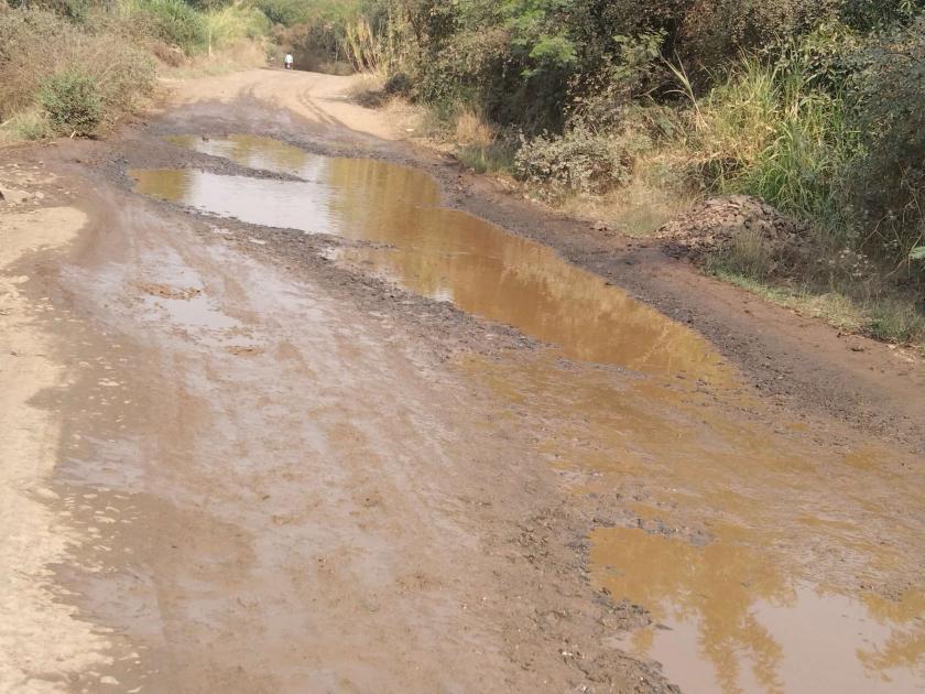 Poor condition of Dindori-Mohadi road; Driving distressed | दिंडोरी-मोहाडी रस्त्याची दुरवस्था; वाहनचालक त्रस्त