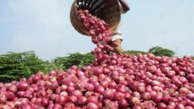  Onion seeds became expensive | कांदा बियाणे महागले