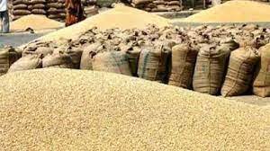 Chalisgaon to buy coarse grains from today | चाळीसगावला आजपासून भरडधान्य खरेदी