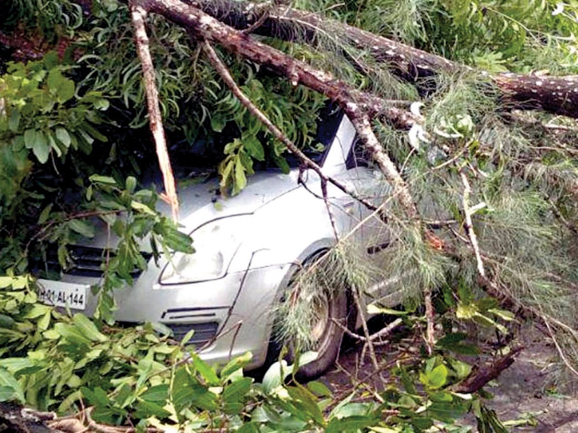 Sindhudurg: The tree collapses on the car, the type of Kudal, and the traffic jam | सिंधुदुर्ग : कारवर झाड कोसळले, कुडाळ येथील प्रकार, वाहतूकही काळी वेळ ठप्प