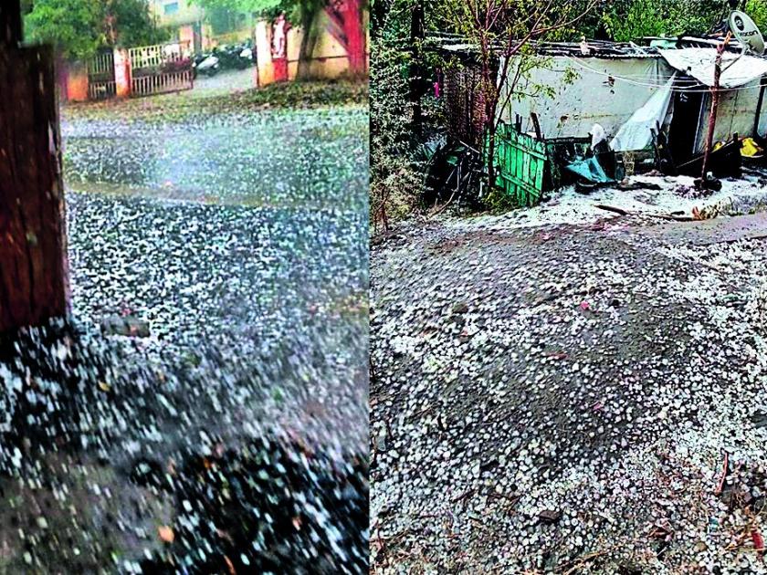 Rain and hailstorm in Yavatmal district | यवतमाळसह जिल्ह्यात पाऊस व गारांचा वर्षाव