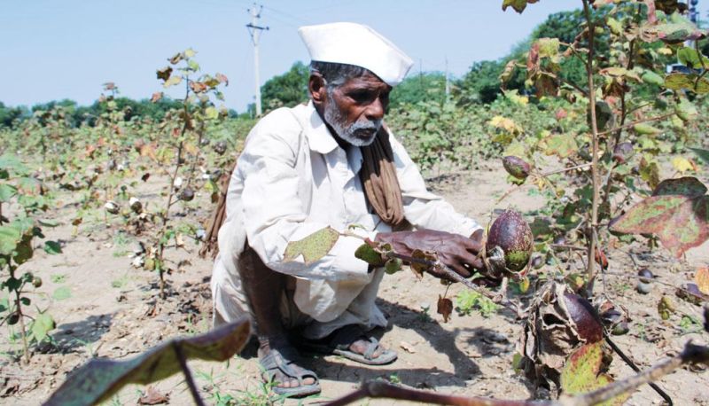 Problems of farmers exacerbated by Samrudhi Highway | समृद्धी महामार्गाच्या कामाने वाढविल्या शेतकऱ्यांच्या अडचणी