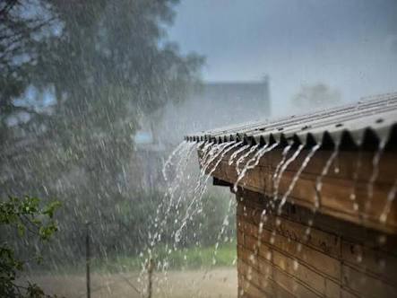 Low rainfall in 10 districts of the state | राज्यातील १० जिल्ह्यांत सरासरीपेक्षा कमी पाऊसमान