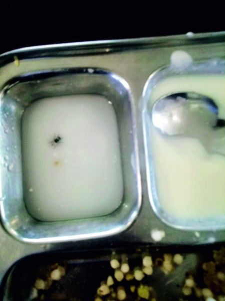 The housefly found in food for fasting; Events in Nagpur | उपवासासाठी मागविलेल्या फराळात आढळली माशी; नागपुरातील घटना