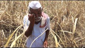 This year's compensation for crop losses last year | गेल्या वर्षाच्या पीक नुकसानीची यंदा भरपाई