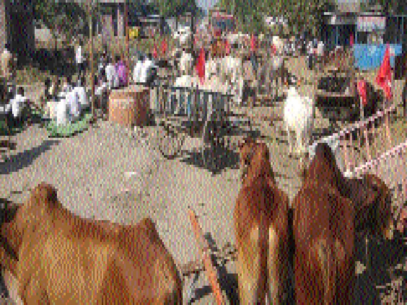 Stop the farmers' road with Godavari at Takaratan | टाकरवण येथे गोधनासह शेतकऱ्यांचा रास्ता रोको