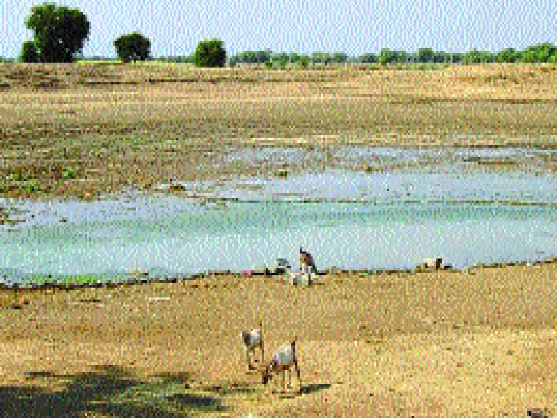 Water to the villages on the Godavari stretch | गोदावरी काठावरील गावांना पाणीटंचाईच्या झळा