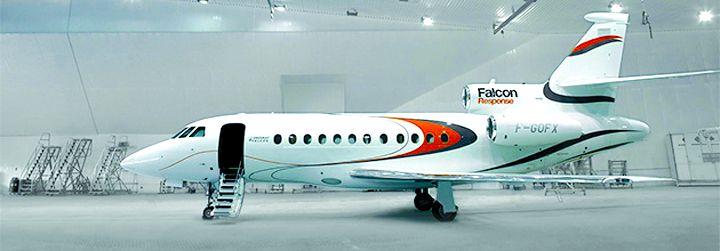 Falcon aircraft built in Nagpur | नागपुरात तयार होणार ‘फाल्कन’ विमान