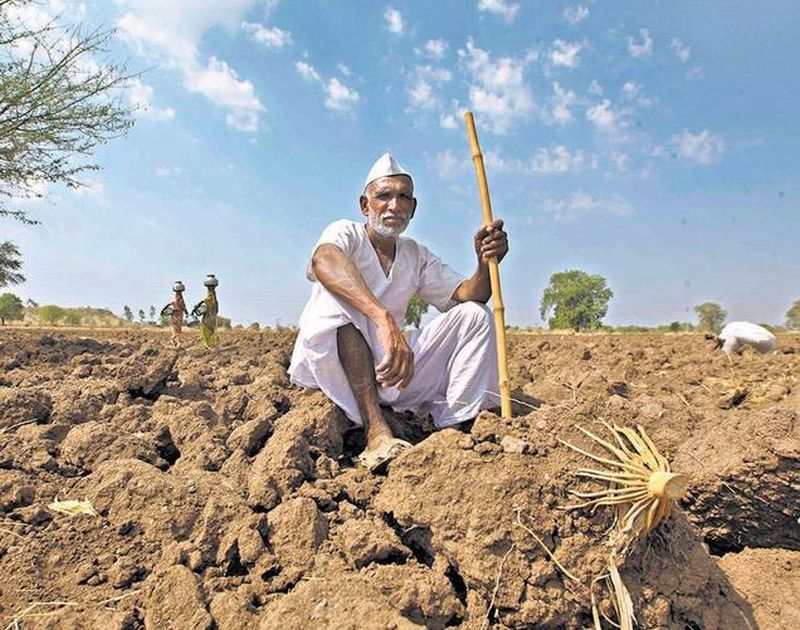 21,000 farmers of Chandrapur district were visiting Tehsil office | चंद्रपूर जिल्ह्यातील २१ हजार शेतकरी झिजविताहेत तहसील कार्यालयाचे उंबरठे