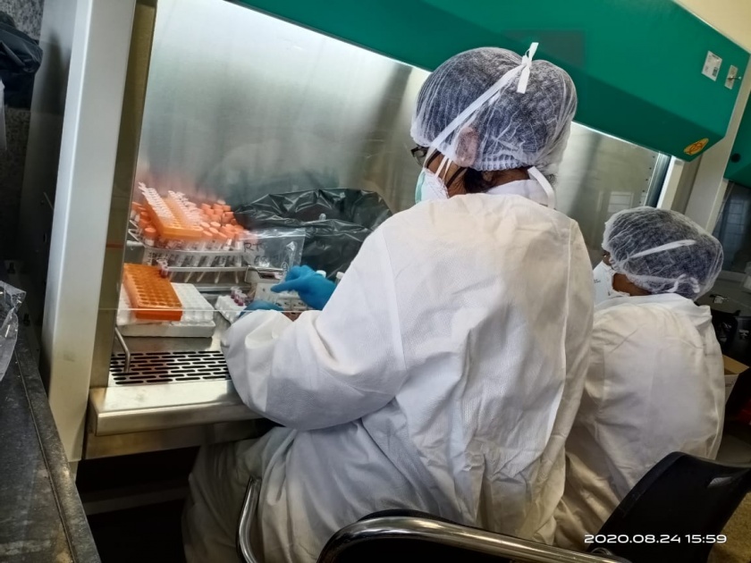 Corona virus: Laboratory scientific officers are also taking secretion samples | corona virus : न थकता नऊ महिला प्रयोगशाळा वैज्ञानिक अधिकारी घेताहेत स्राव