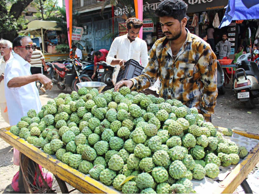  Coconut prices on the face of Diwali: Tomatoes, banana prices increased | दिवाळीच्या तोंडावर खोबरे महागले: टोमॅटो, केळीचे दर वाढले