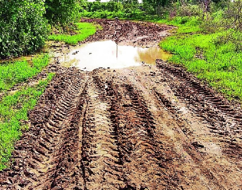 The road to Salai-Nerla is muddy | सालई-नेरला रस्ता चिखलमय