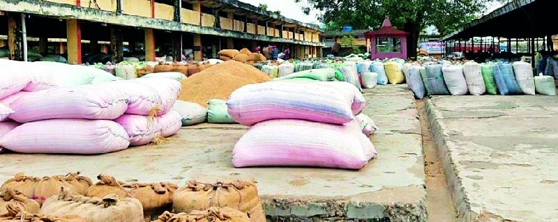 Thousands of paddy sacks opened in the committee yard | समिती यार्डात हजारो धान पोती उघड्यावर