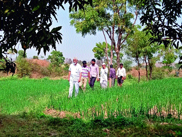 Agriculture Minister reached farmers' dam | कृषिमंत्री पोहोचले शेतकऱ्यांच्या बांधावर