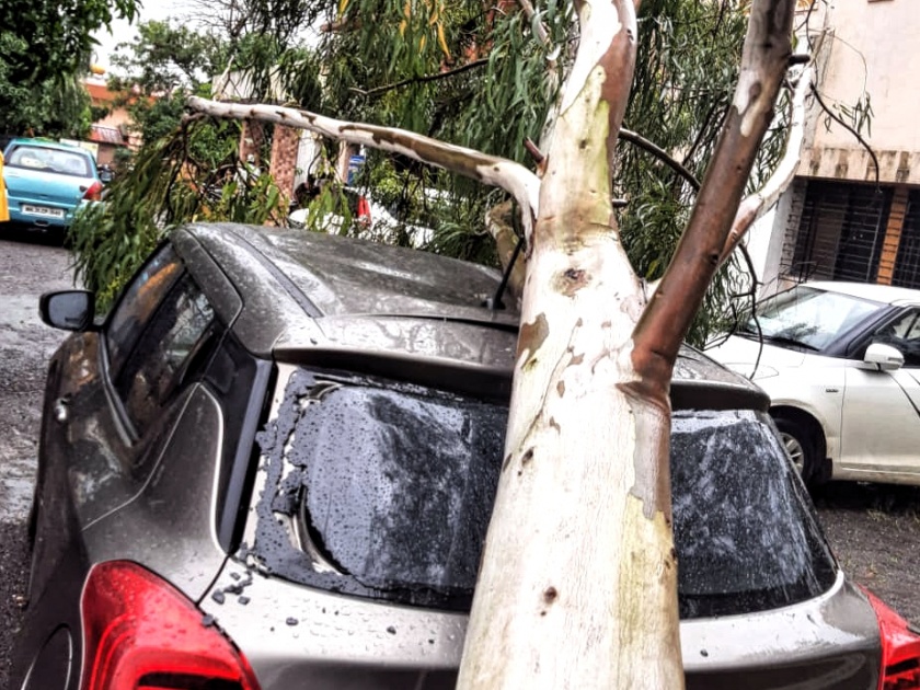 Damage caused by falling tree on car at Trimbakeshwar tehsil office | त्र्यंबकेश्वर तहसिल कार्यालयात कारवर झाड कोसळून नुकसान