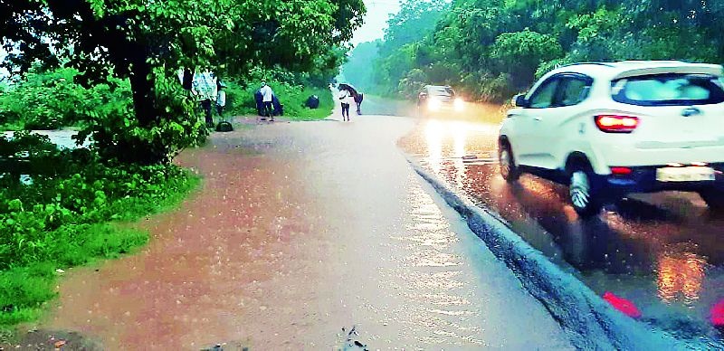 The presence of rainfall everywhere in the district | जिल्ह्यात सर्वत्र पावसाची हजेरी