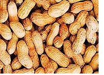Mahabeej seeds cost 5% increase | ‘महाबीज’च्या बियाण्यांच्या दरात ५ टक्के वाढ