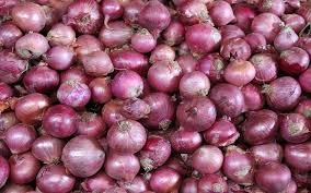 Angered by the closure of the onion export promotion plan | कांदा निर्यात प्रोत्साहन योजना बंद झाल्याने नाराजी