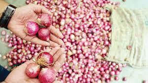 The price of summer onion at Rs | वणीत उन्हाळ कांद्याला १३७० रुपये दर