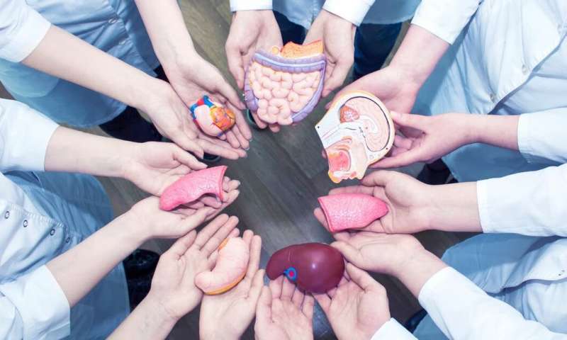 Proliferation of organ donation is essential | अवयवदानाचा प्रसार आवश्यक