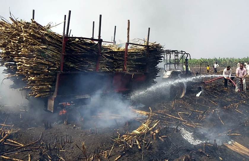 Parbhani: Burned 1.5 acres of sugarcane with tractor | परभणी : ट्रॅक्टरसह दीड एकर ऊस जळाला