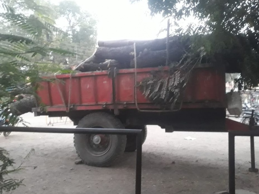  Illegal tree looting on Kolgaon-Gudi road | कोळगाव-गुढे रस्त्यावर अवैध वृक्षतोडप्रकरणी गुन्हा