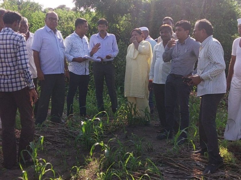 Bhadgaon tahsildar inspects the crops by smelly, mud | दुर्गंधी, चिखल तुडवत भडगाव तहसीलदारांनी केली पिकांची पाहणी