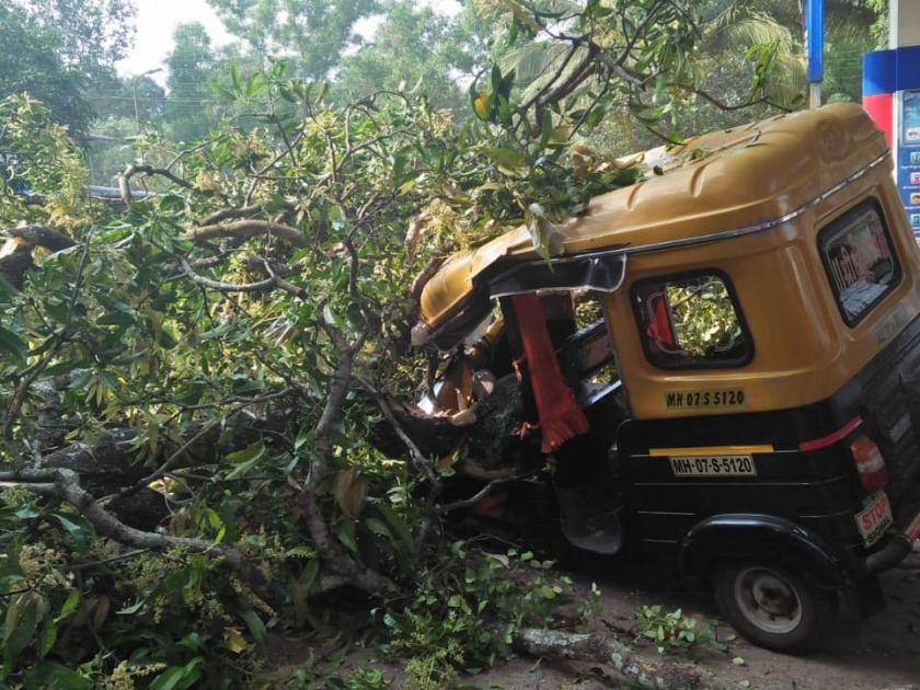 The tree fell on the ground: both of them rescued Balbala | काळ आला होता पण...,रिक्षावर झाडाची फांदी कोसळली : दोघेजण बालंबाल बचावले