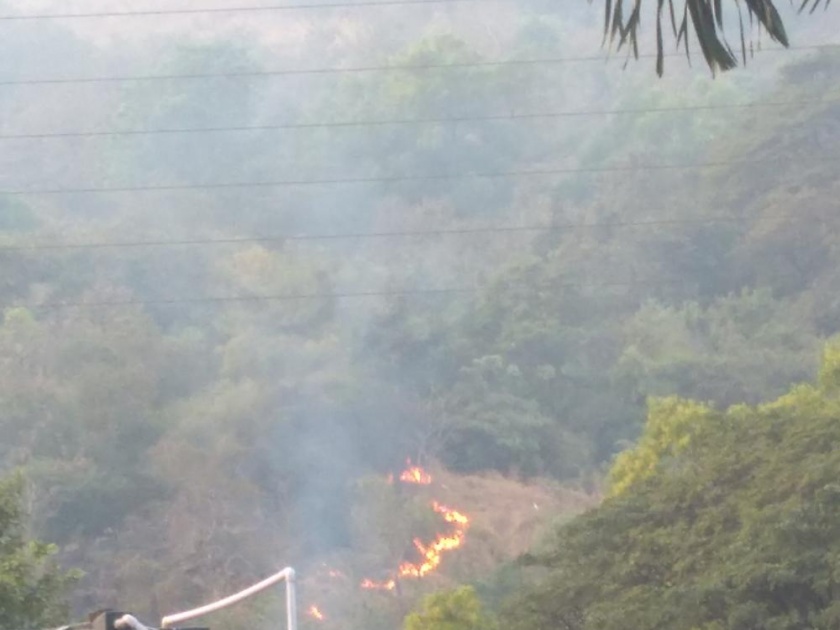  The fire in the forest of Thane Upavan prevented the fire | ठाणे उपवनच्या जंगलातील आग आटोक्यात आणल्याने अनर्थ टळला