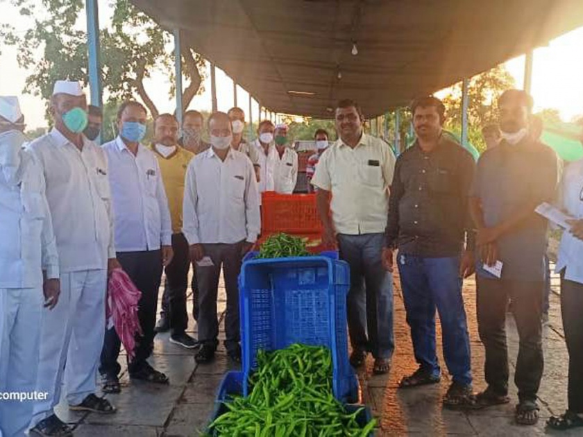 Vegetable auction starts at Wadnerbhairav sub-market | वडनेरभैरव उपबाजारात भाजीपाला लिलावास प्रारंभ
