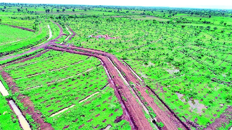When 12.74 lakh saplings are planted? | १२.७४ लाख खड्ड्यांत रोपटे केव्हा?