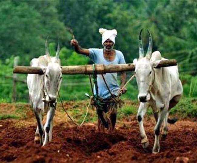 648 crore debt waiver in Solapur district; More than three thousand taxpayer farmers ineligible | सोलापूर जिल्ह्यात ६४८ कोटींची कर्जमाफी; तीन हजाराहून अधिक करदाते शेतकरी अपात्र