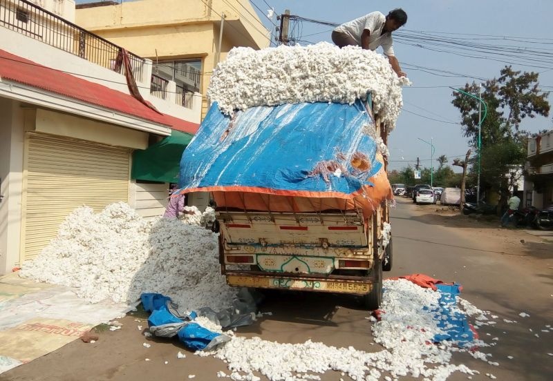 Telangana support for cotton growers in Gadchiroli district | गडचिरोली जिल्ह्यातील कापूस उत्पादकांना तेलंगणाचा आधार