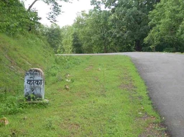 Moving tourism due to the Coca Wildlife Sanctuary in Bhandara District | भंडारा जिल्ह्यात कोका अभयारण्यामुळे पर्यटनाला चालना
