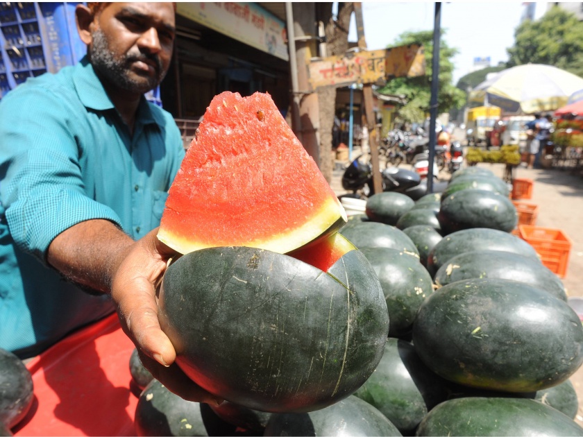  Kolhapur: In the market the fruits of reddish brinjal, apples and apples have increased in number of fruits | कोल्हापूर : लालभडक कलिंगडे बाजारात, सीताफळ, सफरचंदांसह फळांची आवक वाढली