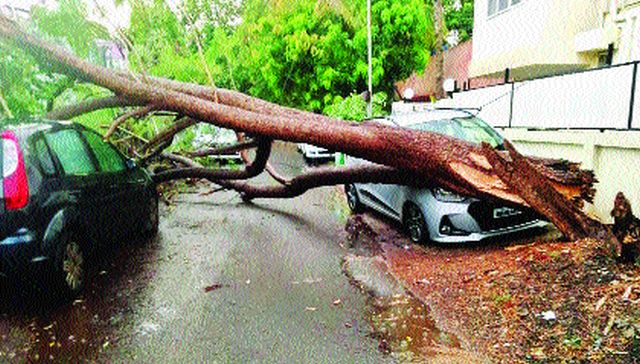 Storm hits the district; Four people die due to electricity | जिल्ह्याला वादळी पावसाचा तडाखा; वीज पडून चार जणांचा मृत्यू