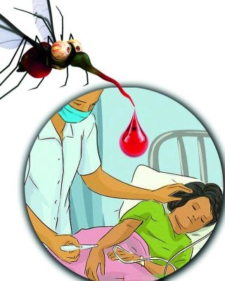 Dengue chemist | डेंग्यूची मगरमिठी