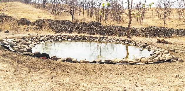 water tanks for wild animal in Dnyanganga sanctury | उन्हाची काहिली; ‘ज्ञानगंगा’तील ५४ पाणवठे वन्यप्राण्यांना आधार