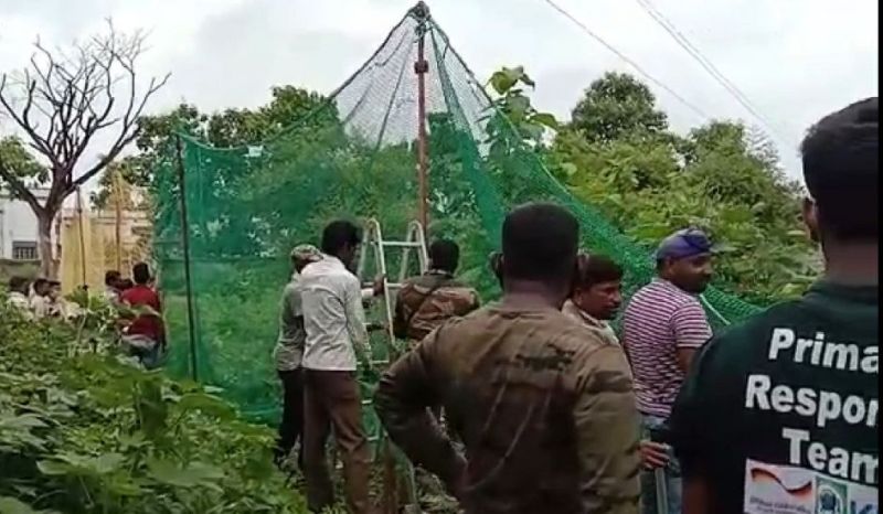Tiger in a rice mill in Chandrapur district; Attack on the driver | चंद्रपूर जिल्ह्यातील राईसमिलमध्ये शिरला वाघ; चालकावर हल्ला