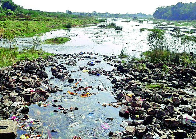 Ira river water pollution is polluted | इरई नदीचे जलस्त्रोत प्रदूषित
