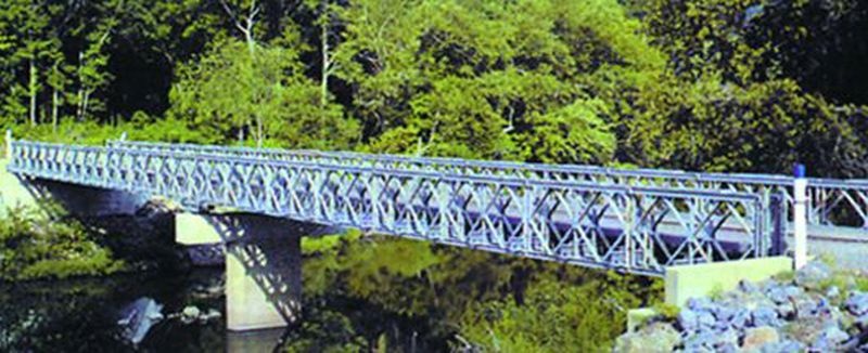 100 'Belly Bridge' to be built in Naxal-affected areas | नक्षलग्रस्त भागात तयार होणार १०० ‘बेली ब्रिज’