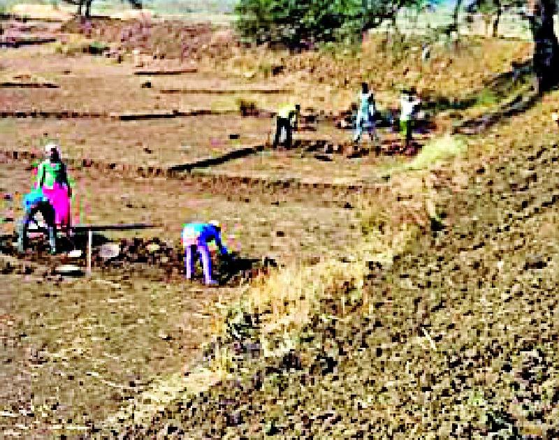 There is no evidence of village panchayat workers | ग्रामपंचायतीत मजुरांचे पुरावेच नाही