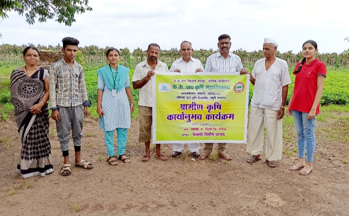 Guide farmers to spray neem extract | शेतकऱ्यांना निंबोळी अर्क फवारणी मार्गदर्शन