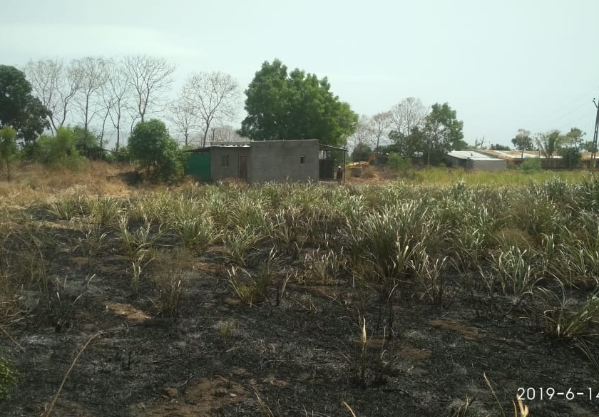 Burning of sugarcane damages the fire | आगीत ऊस जळून नुकसान