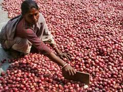 Onion prices will eat ... | कांदा भाव खाणार...