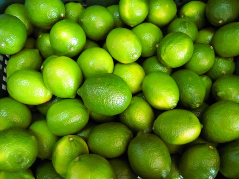Refusal to purchase lemons through auction, revocation of licenses of Aadat traders in Shrigonda | लिलावाद्वारे लिंबू खरेदीस नकार, श्रीगोंद्यात आडत व्यापाºयांचे परवाने रद्द