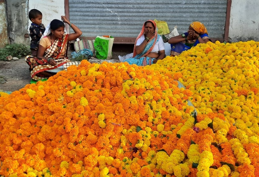 Malegaon marigold price hike | मालेगावी झेंडूच्या दरात वाढ