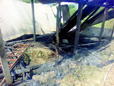 A fire in Kadve Budruk in Patan taluka; The death of six animals | पाटण तालुक्यातील कडवे बुद्रुकमध्ये आग; सहा जनावरांचा होरपळून मृत्यू
