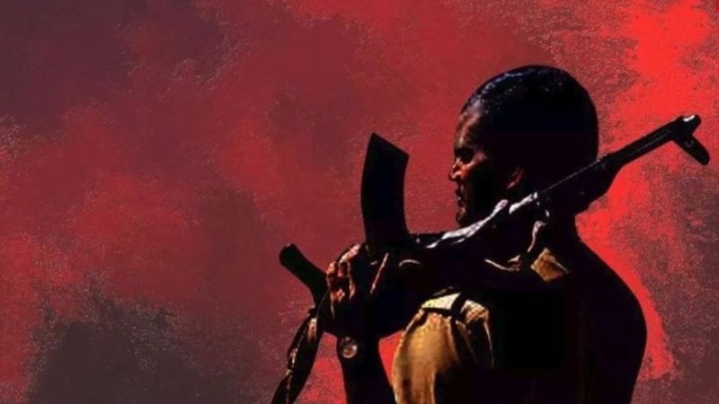 Two policemen killed in Naxal firing | नक्षलवाद्यांच्या गोळीबारात एक पोलीस जवान शहीद, एक गंभीर